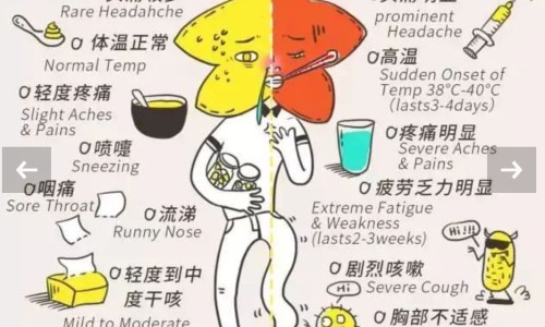 营养液有毒吗能喝吗-营养液有毒吗网 :分享家庭园艺浓缩营养液有毒吗-营养液有毒吗安全吗知识