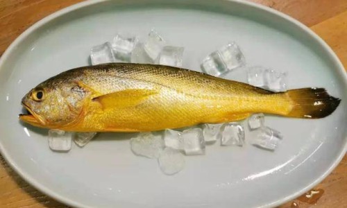 金钻营养液有毒吗-营养液有毒吗网 :分享家庭园艺浓缩营养液有毒吗-营养液有毒吗安全吗知识